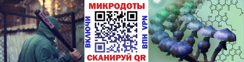 где можно купить   Чекалин  Псилоцибиновые грибы ЛСД 